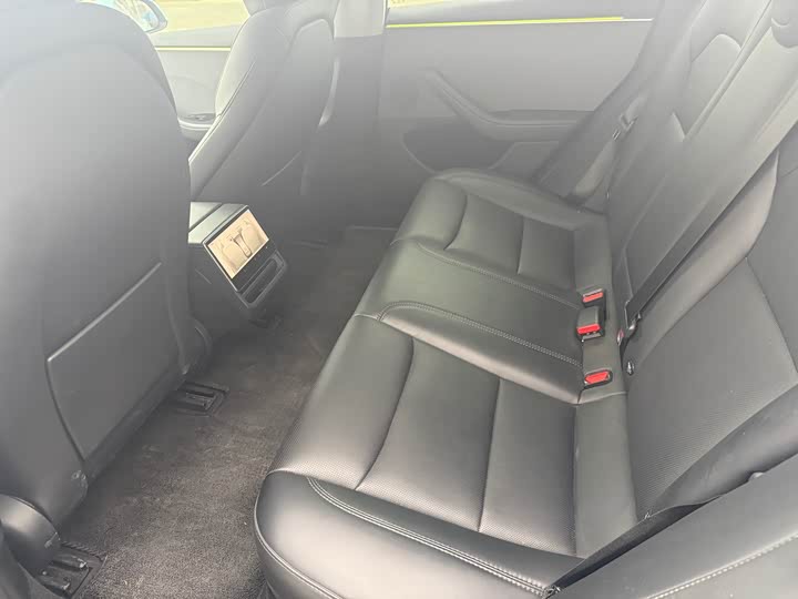 Tesla Model 3 2023 2023款 后轮驱动版