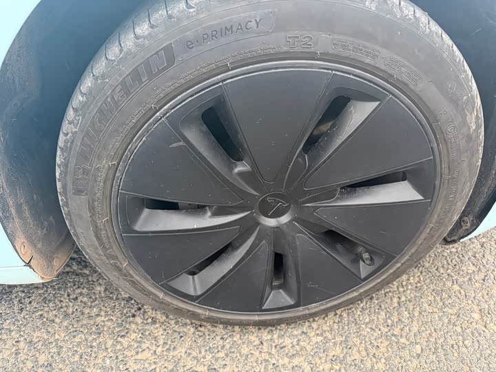 Tesla Model 3 2023 2023款 后轮驱动版