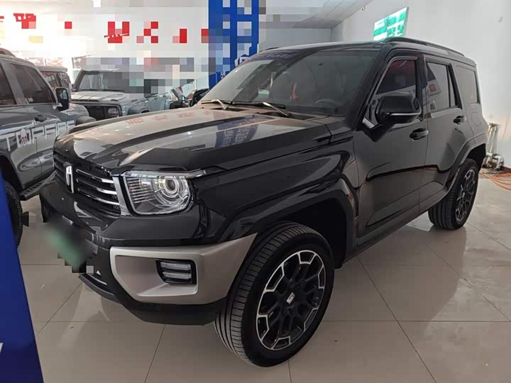 Tank 700 Hybrid 2024 2024款 Hi4-T 极境版