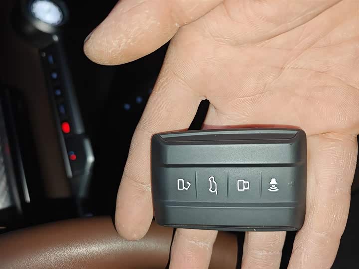 Tank 700 Hybrid 2024 2024款 Hi4-T 极境版