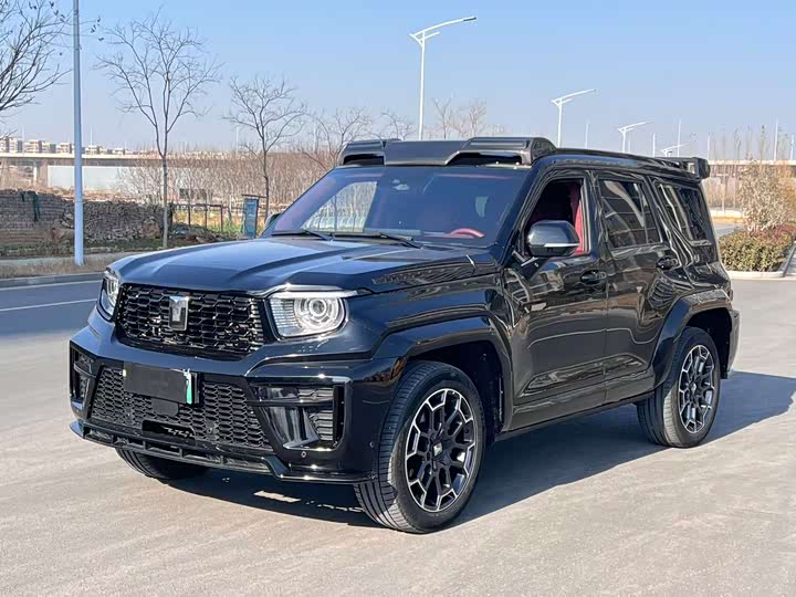 Tank 700 Hybrid 2024 2024款 Hi4-T 极境版