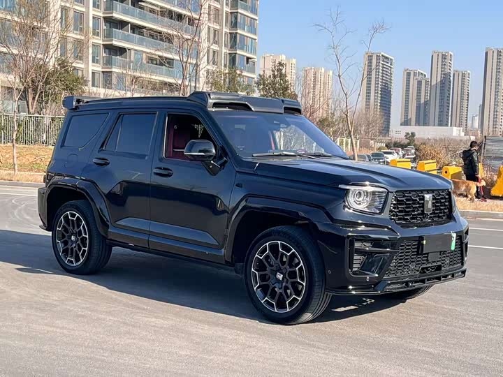 Tank 700 Hybrid 2024 2024款 Hi4-T 极境版