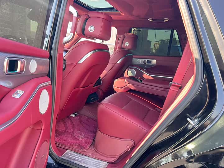 Tank 700 Hybrid 2024 2024款 Hi4-T 极境版