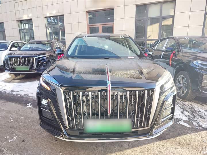 Hongqi HS3 Hybrid 2025 2025款 125km 劲为 200万辆纪念版