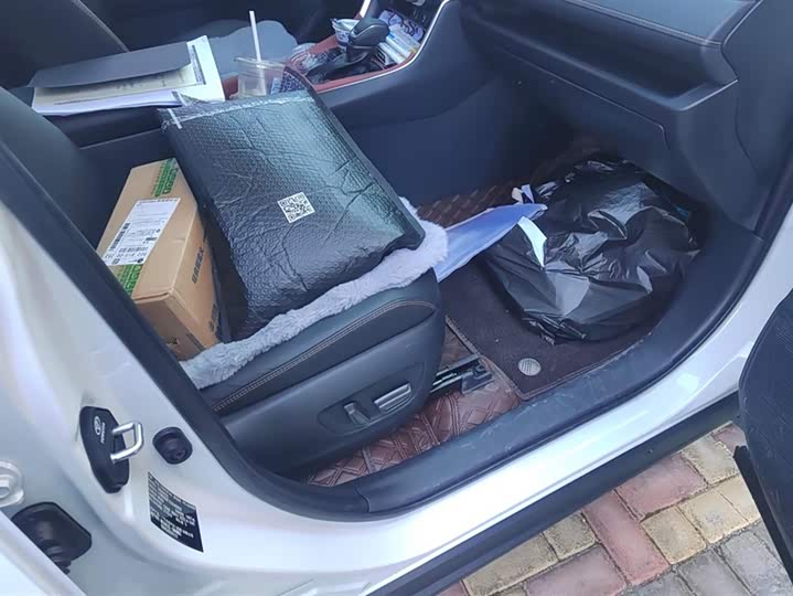 Toyota RAV4 2024 2024款 2.0L CVT两驱风尚Plus版