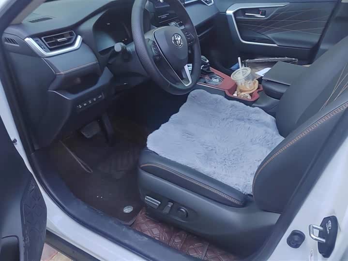 Toyota RAV4 2024 2024款 2.0L CVT两驱风尚Plus版