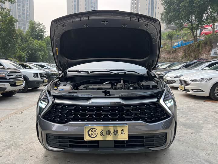 Kia Sportage 2023 2023款 2.0T 两驱尊贵版