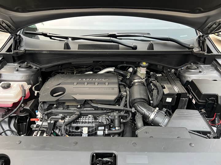 Kia Sportage 2023 2023款 2.0T 两驱尊贵版