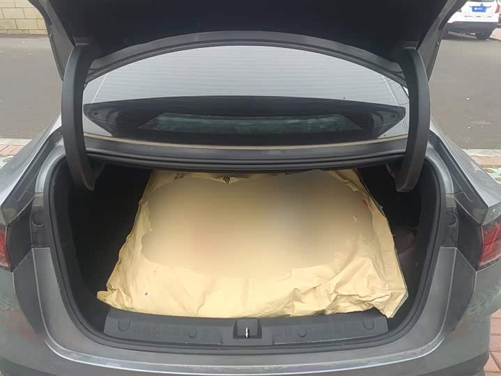 BYD Qin L 2025 2025款 DM-i 智驾版 80KM超越型