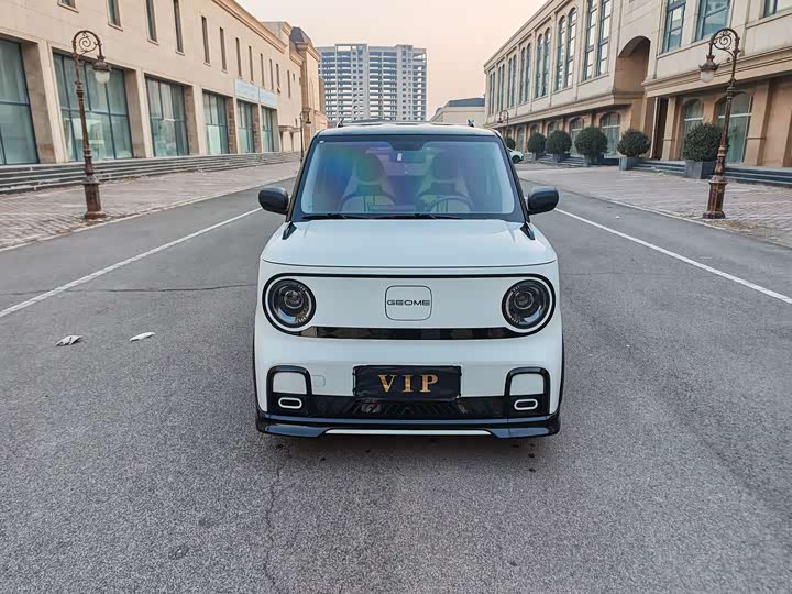 Geely Galaxy Panda Mini 2025 2025款 210km 熊猫卡丁