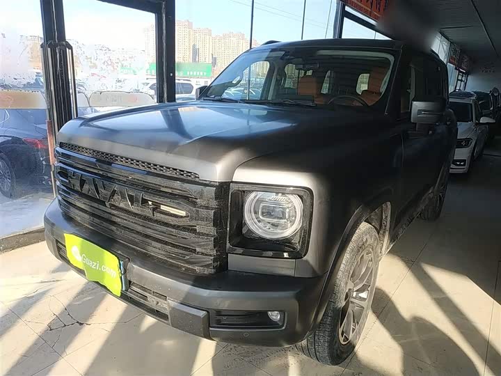 Haval H9 2024 2024款 2.0T 汽油四驱极境版