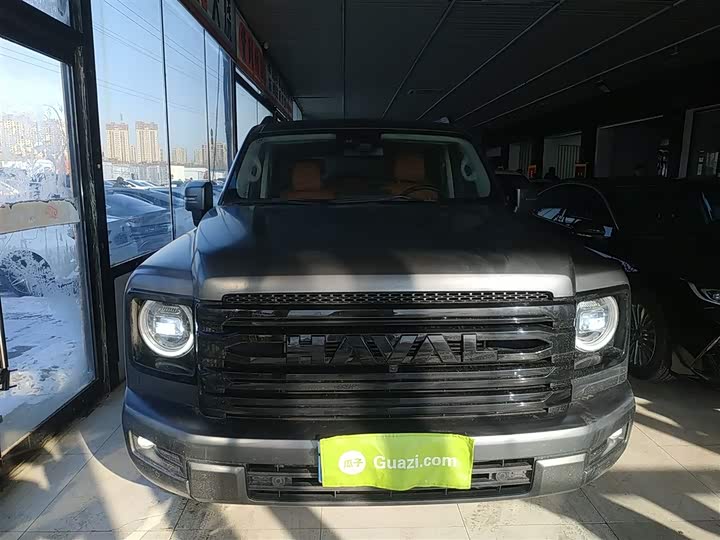Haval H9 2024 2024款 2.0T 汽油四驱极境版