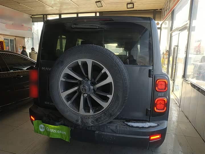 Haval H9 2024 2024款 2.0T 汽油四驱极境版