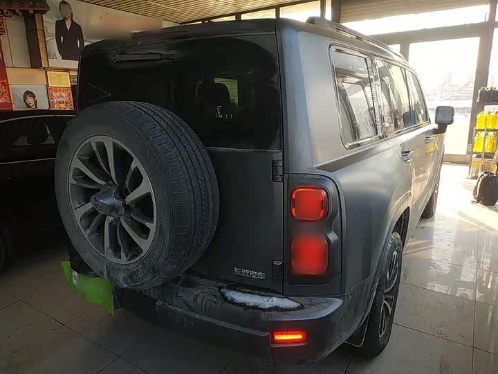 Haval H9 2024 2024款 2.0T 汽油四驱极境版