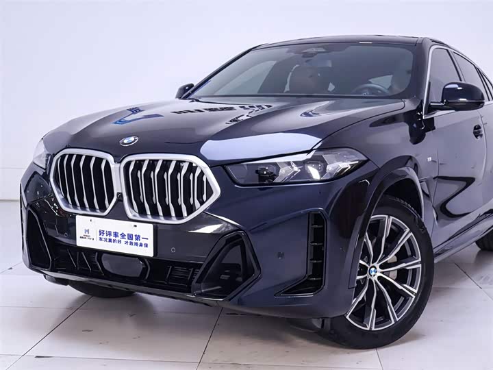 BMW X6 2023 2023款 xDrive30i M运动套装