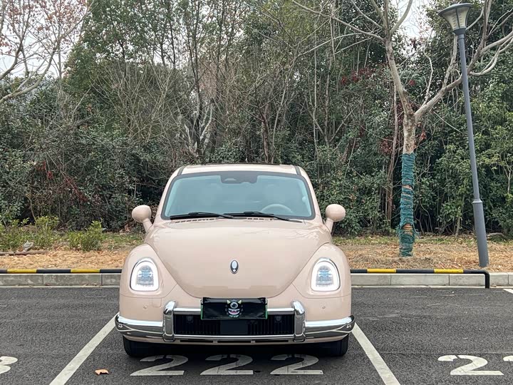 Ora Ballet Cat 2023 2023款 401km 尊贵型