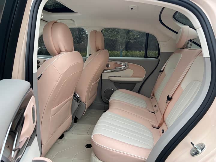 Ora Ballet Cat 2023 2023款 401km 尊贵型