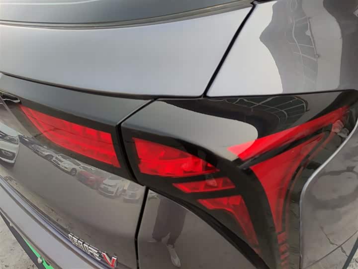 Hozon V 2022 2022款 潮 300 Lite 磷酸铁锂