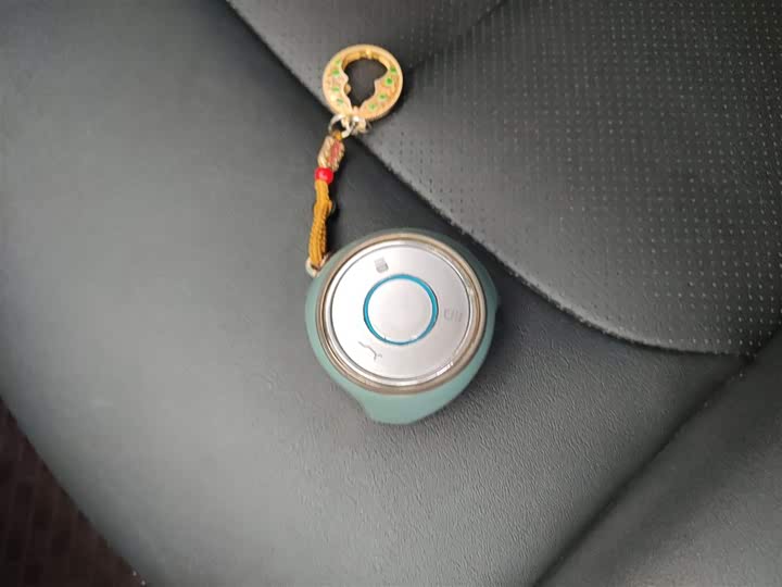 Hozon V 2022 2022款 潮 300 Lite 磷酸铁锂