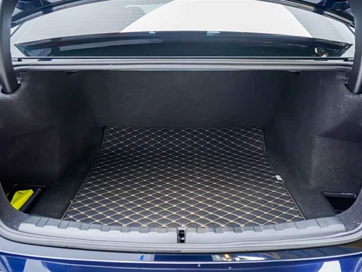 BMW 3 Series 2025 2025款 325Li M运动套装