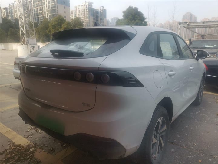Dongfeng Forthing Leiting 2024 2024款 410+