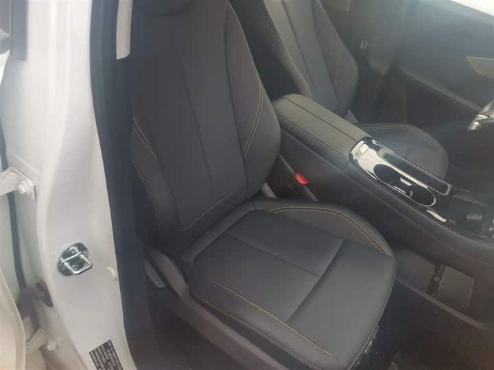 2024 Dongfeng Forthing Leiting