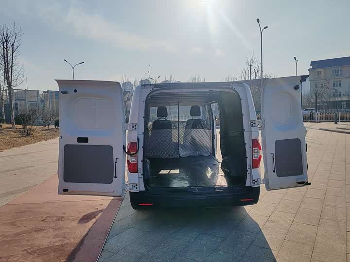Maxus EV30 2023 2023款 纯电智能物流专家长轴国轩