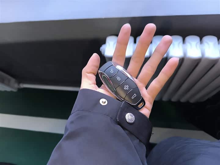 Hongqi HS3 Hybrid 2024 2024款 115km 劲为版