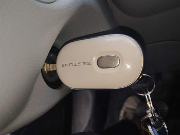 Bestune Pony 2025 2025款 222km 灵动马