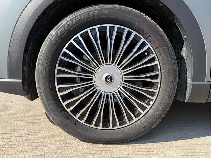 Chery Tiggo 8L 2024 2024款 2.0T 两驱尊贵版 5座