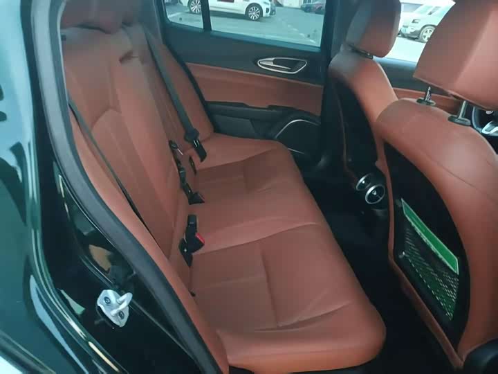 Alfa Romeo Giulia 2021 2021款 2.0T 280HP 豪华运动版