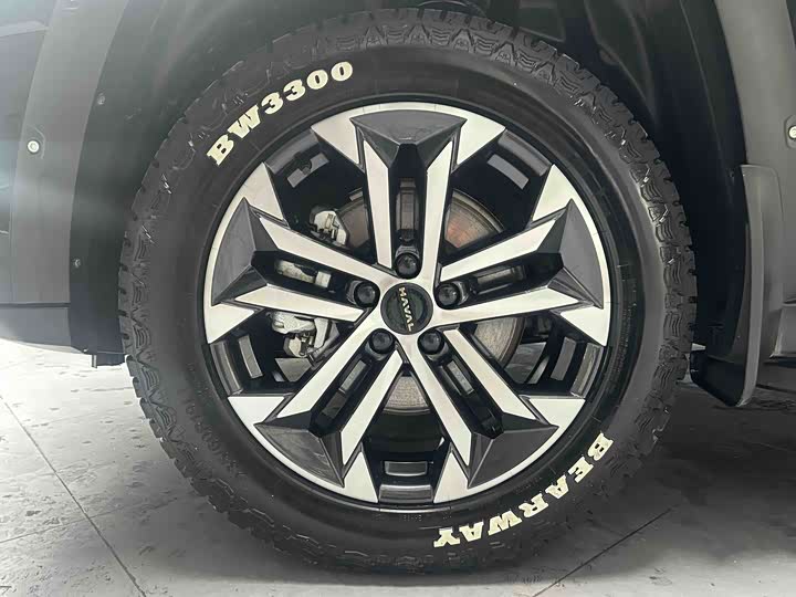 Haval H-Dog 2023 2023款 2.0T 四驱潮野Plus