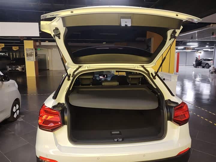 Audi Q2L e-tron 2019 2019款 Q2L e-tron 纯电智享型