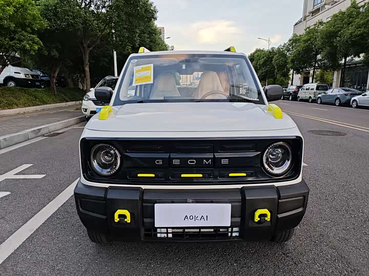 Geely Galaxy Panda Mini 2025 2025款 210km 熊猫骑士