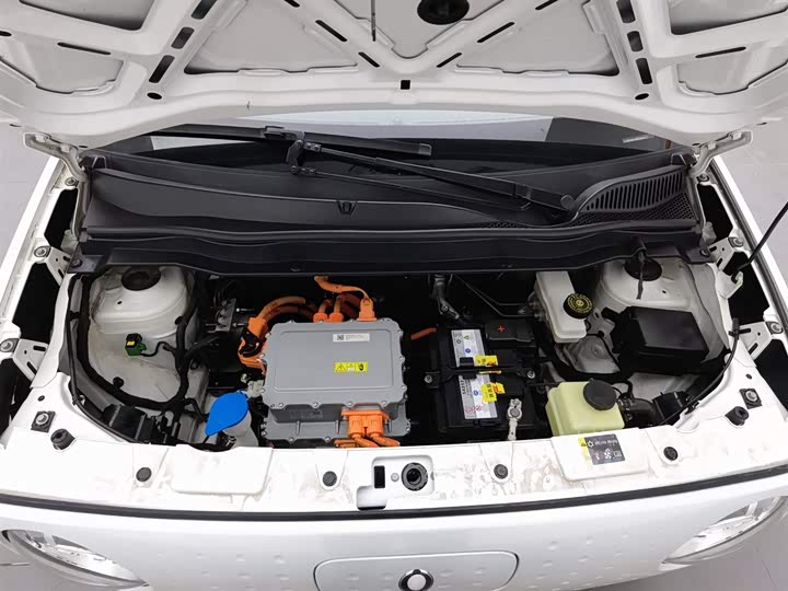 Ora Black Cat 2022 2022款 351km 舒适型 三元锂