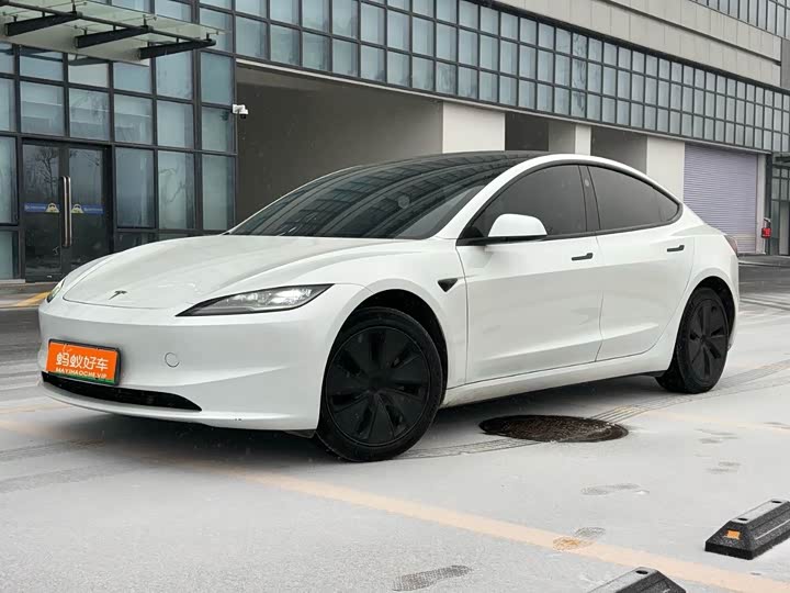 Tesla Model 3 2023 2023款 后轮驱动版