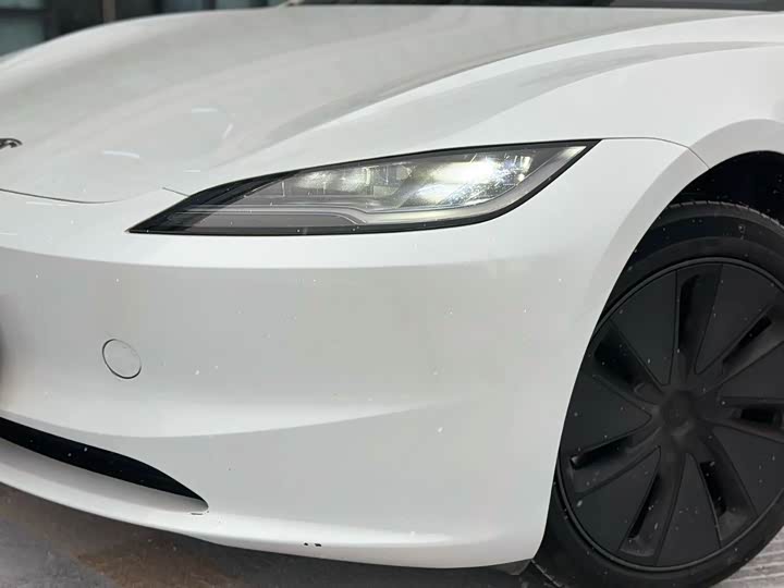 Tesla Model 3 2023 2023款 后轮驱动版