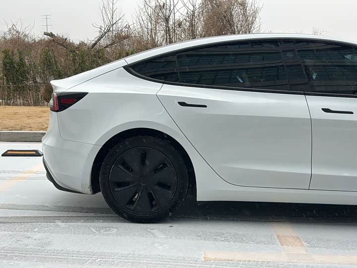 Tesla Model 3 2023 2023款 后轮驱动版