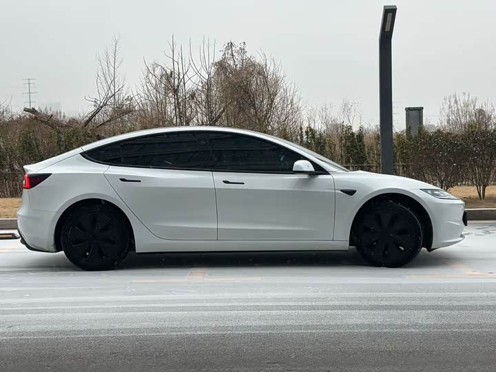 Tesla Model 3 2023 2023款 后轮驱动版