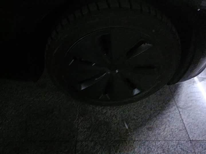 Tesla Model 3 2023 2023款 后轮驱动版