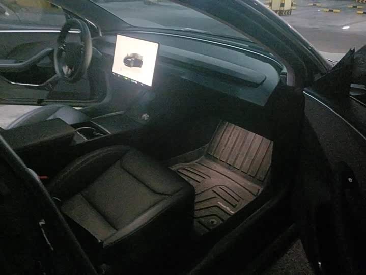 Tesla Model 3 2023 2023款 后轮驱动版