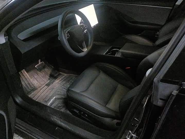 Tesla Model 3 2023 2023款 后轮驱动版