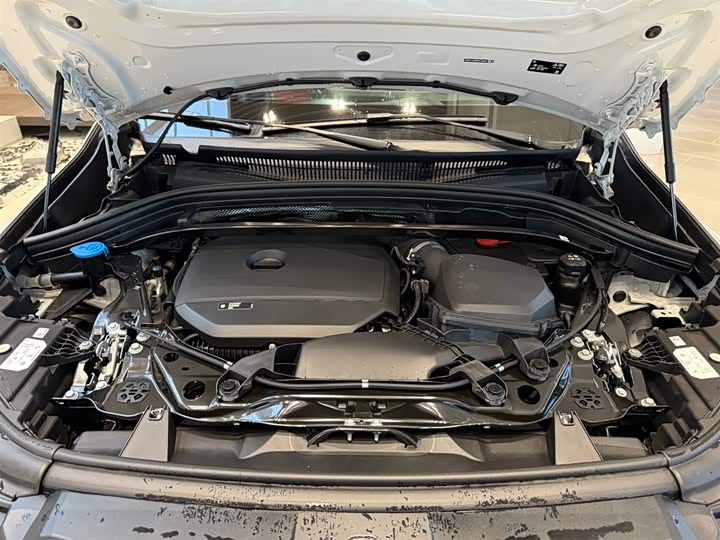 BMW X1 2024 2024款 xDrive25Li M运动套装