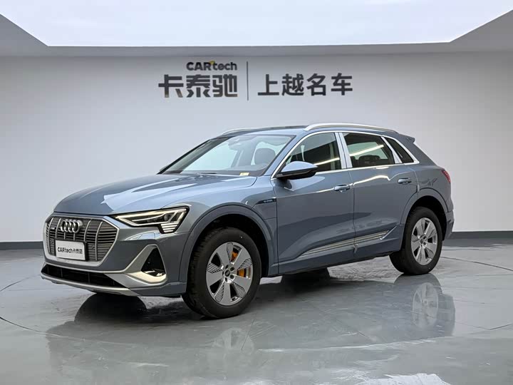 Audi e-tron 2021 2021款 50 quattro 豪华型