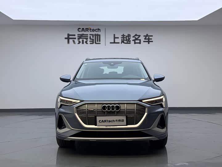Audi e-tron 2021 2021款 50 quattro 豪华型