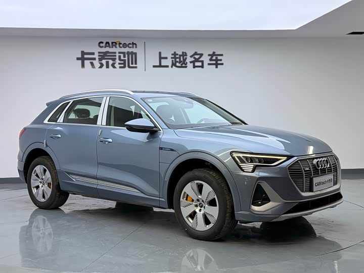 Audi e-tron 2021 2021款 50 quattro 豪华型