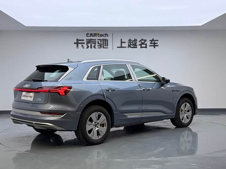 Audi e-tron 2021 2021款 50 quattro 豪华型