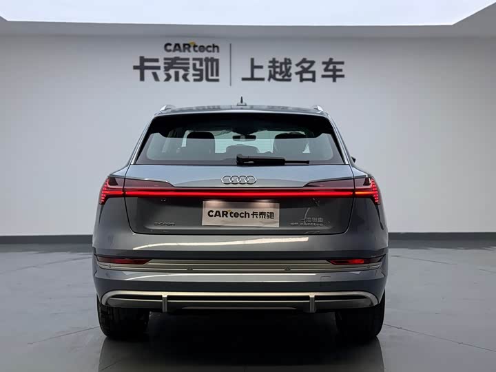 Audi e-tron 2021 2021款 50 quattro 豪华型
