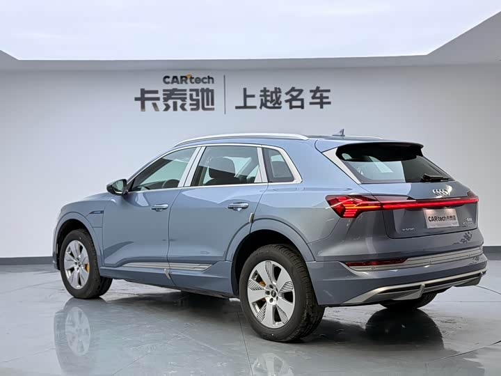 Audi e-tron 2021 2021款 50 quattro 豪华型