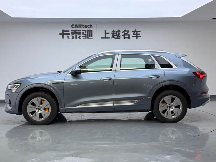 Audi e-tron 2021 2021款 50 quattro 豪华型